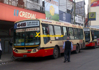 Foto Colectivo de la Linea 446